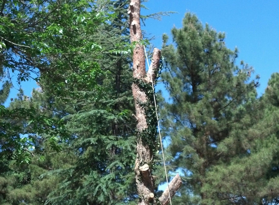 ECO-GREEN Tree Service - Rimrock, AZ