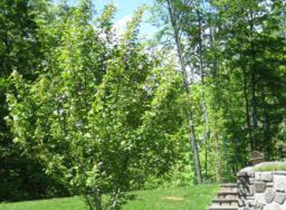 SavATree - Tree Service & Lawn Care - Mashpee, MA