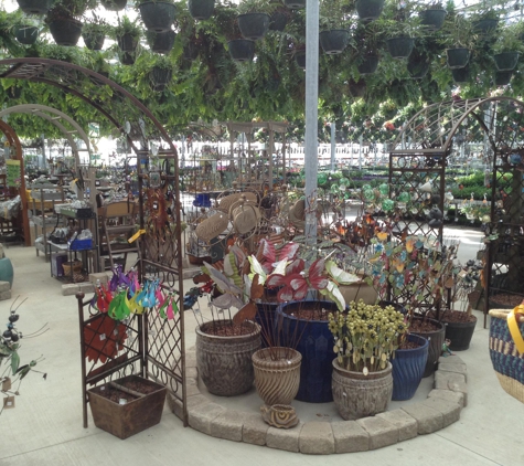 Woldhuis Farms Sunrise Greenhouse - Grant Park, IL