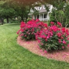 Natures Select Premium Turf gallery