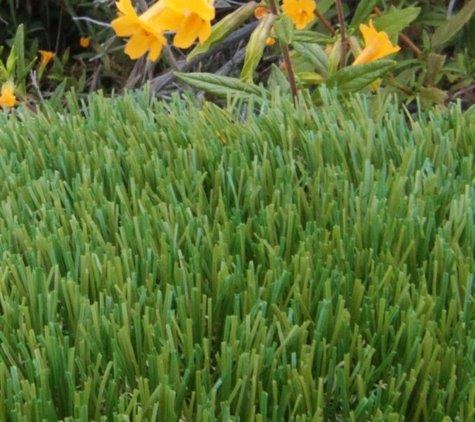 WaterSavers Turf - San Rafael, CA