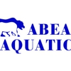 Pool Remodeling, Pool Repairs, Outdoor Kitchens - Abear Aquatics gallery