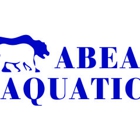 Pool Remodeling, Pool Repairs, Outdoor Kitchens - Abear Aquatics