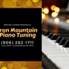 Iron Mountain Piano Tuning gallery