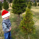 Jordan Lake Christmas Tree Farm - Christmas Trees