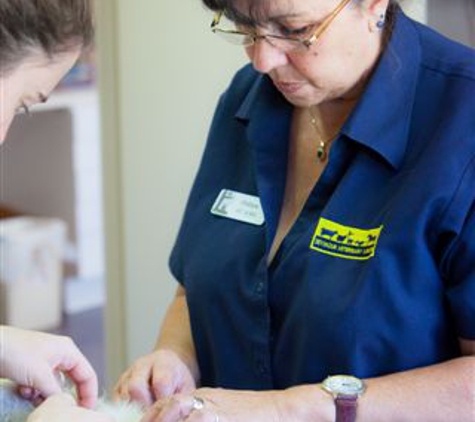 Seymour Veterinary Surgery - Seymour, VIC