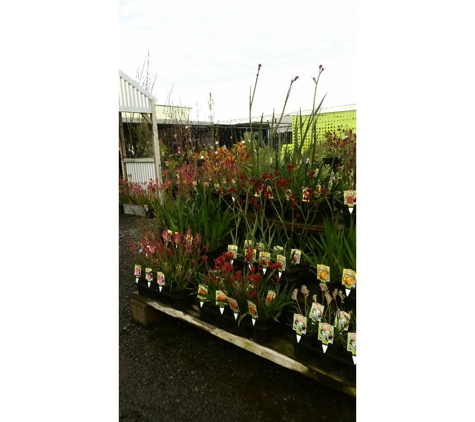 Boyanup Botanical Nursery - Boyanup, WA