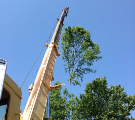 Tiger Tree Services,LLC. - Greenwell Springs, LA