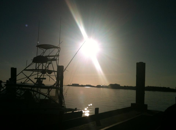 Shark-a-Tech - Neptune Beach, FL