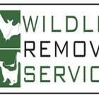 Wildlife Removal Services