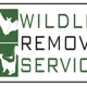 Wildlife Removal Services