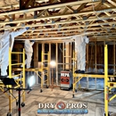 Dry Pros - Water Damage Restoration