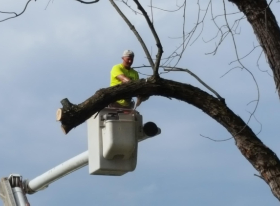 Shaffer Tree Removal - Mount Pleasant, PA