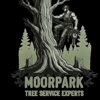 Moorpark Tree Service Experts gallery