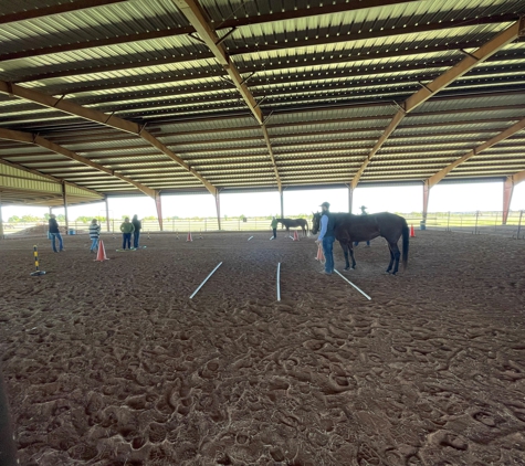 Equine Experiential Education Association - E3A - Reno, NV