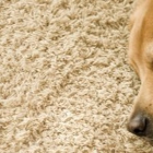 Gemini 24hr Carpet Cleaning & Upholstery