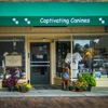 Captivating Canines gallery