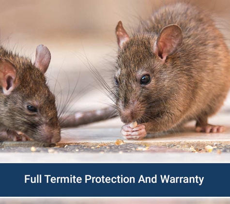 Mr Exterminator - Noarlunga Downs, SA. Full Termite Protection And Warranty