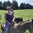 Tomlin Training Center - Horse Training