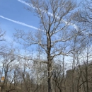 Friendly Tree Service Inc - Arborists