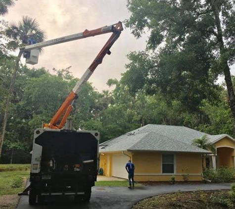 Aardvark Tree Service - Port Orange, FL