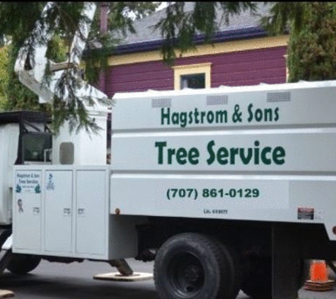 Hagstrom & Sons Tree Service - Santa Rosa, CA