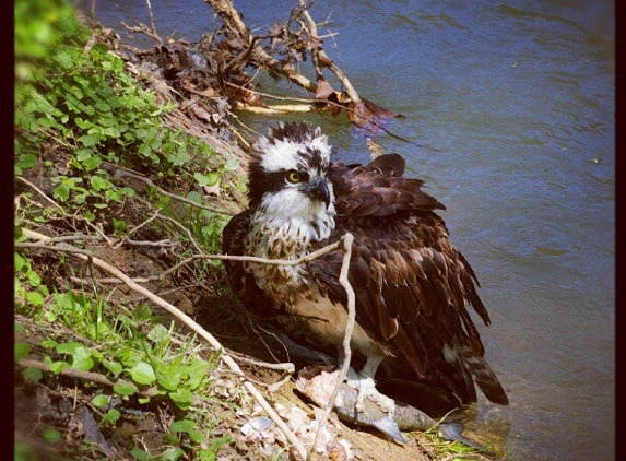 Patapsco State Park - Catonsville, MD