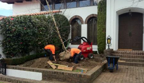 Professional Tree Care Services - Kew, VIC. Tree planting