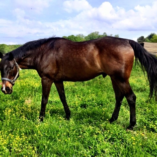 West Creek Stables - Austell, GA