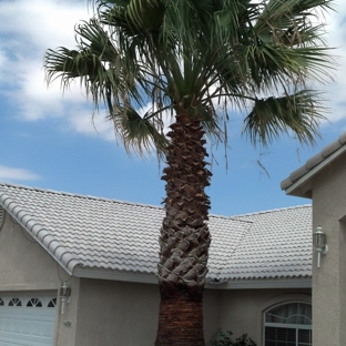 Wallace Tree Service - Kingman, AZ