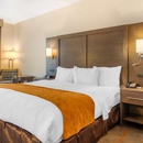 Comfort Inn & Suites Brighton Denver NE Medical Center - Motels