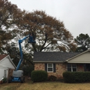 Desoto Tree Service - Tree Service