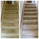 MUCK'Suck Carpet Cleaning