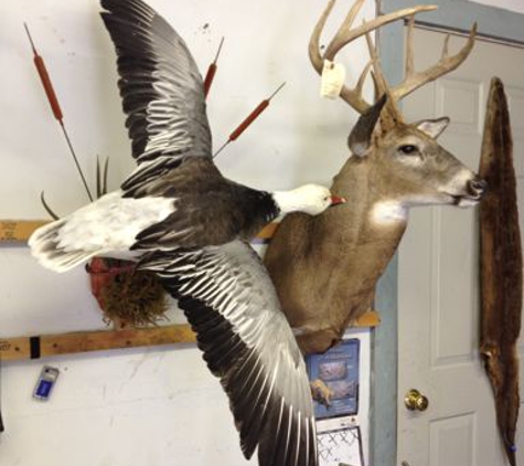 Brownsburg Taxidermy - Brownsburg, IN