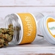 Kushfly Marijuana Delivery