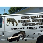 Ohio Valley Wildlife Control