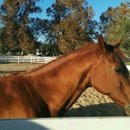 Lehmann Stables - Stables