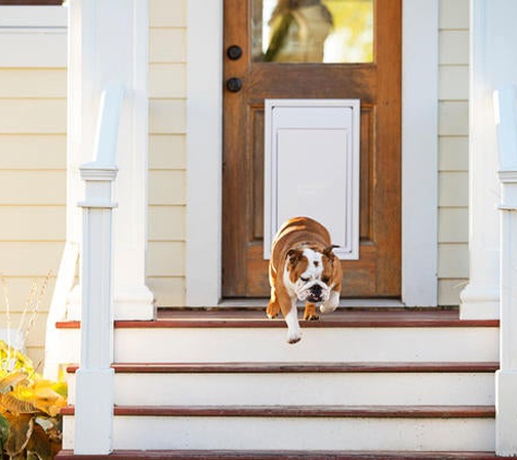 Invisible Fence - Rochester Hills, MI