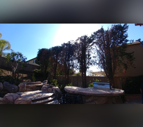 Luis Tree Service & Lawn Maintenance - Corona, CA