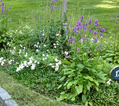 Pristine Properties Landscaping - Stamford, CT