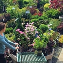 Magnolia Garden Center - Greenhouses