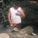 At The Top Tree Services LLC - Tree Service
