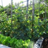 Precision Irrigation Team gallery