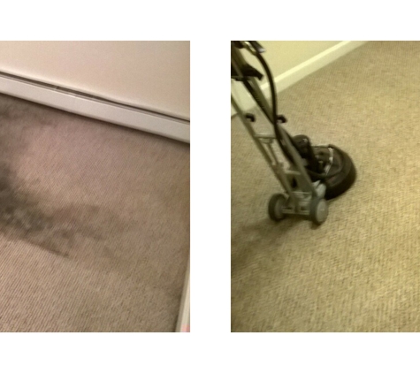 Deep Cleaning Carpets