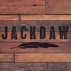 Jackdaw gallery