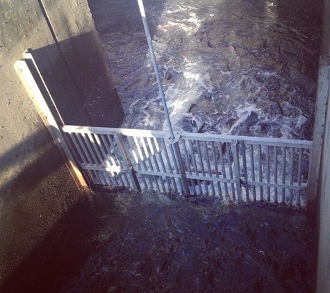 Nimbus Fish Hatchery - Rancho Cordova, CA