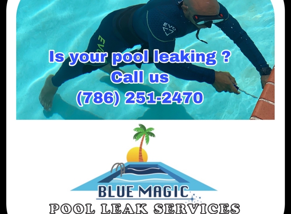 Blue Magic Pool Nic Services Corp. Pool leak detection