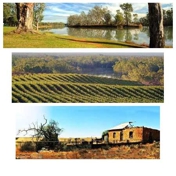 Gallery Image Number 3