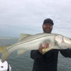 Clearwater Inshore Fishing Charters gallery