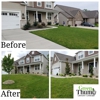 Green Thumb Lawn Care N' Landscape gallery